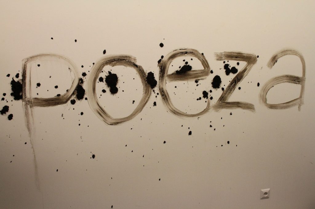 zbigniew-warpechowski-poeja-poeza-galeria-monopol-fot-leszek-fidusiewicz-017